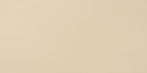 Fawn #118